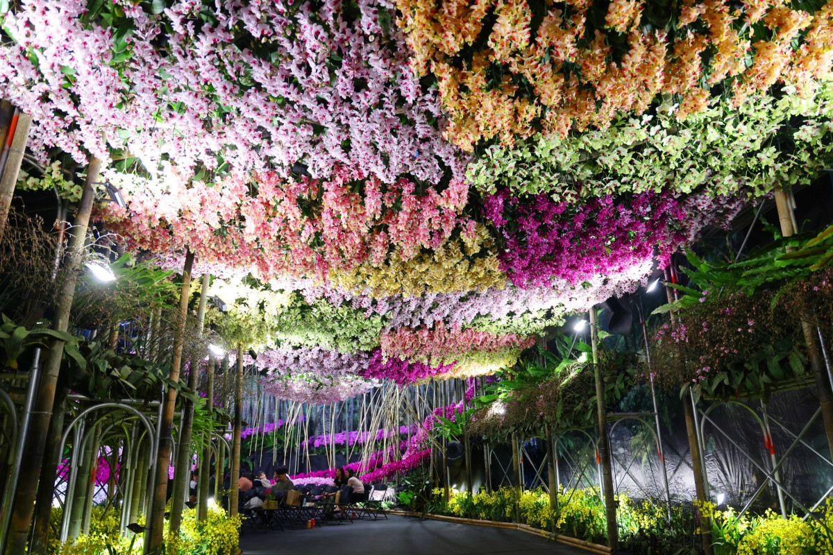 美不勝收的蘭展讓人目不轉睛。