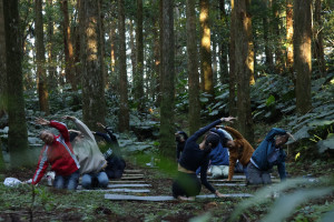 森林瑜珈。(東眼山自然教育中心提供)