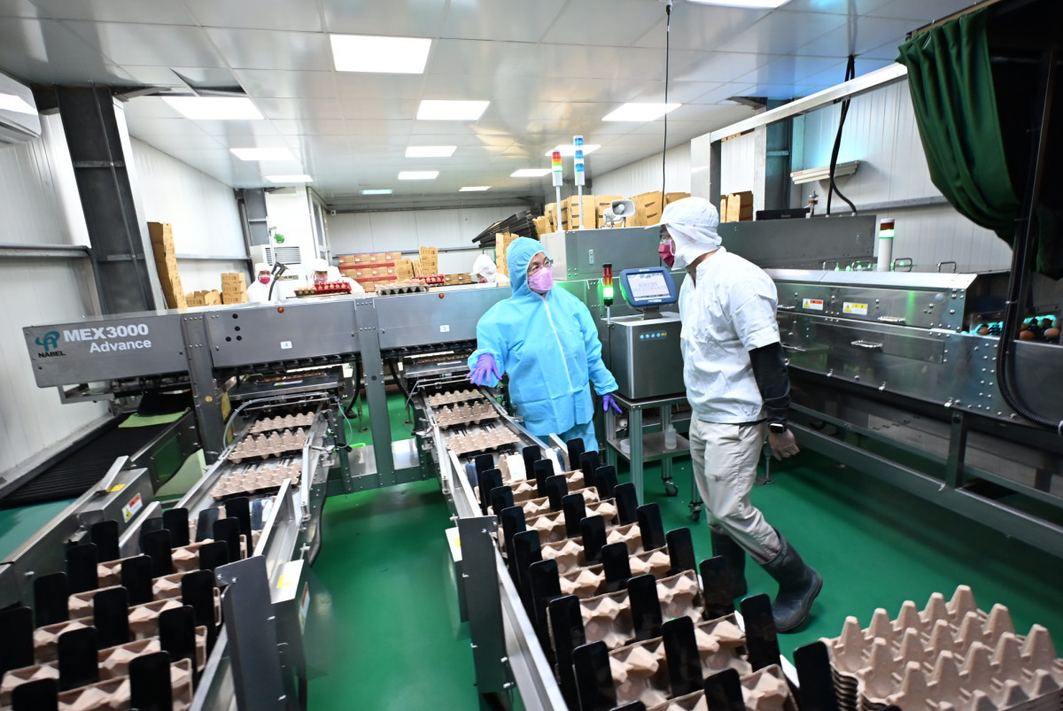 全國首座立體平飼蛋雞場在彰化，全佑牧場成畜牧轉型典範。圖／彰化縣政府提供