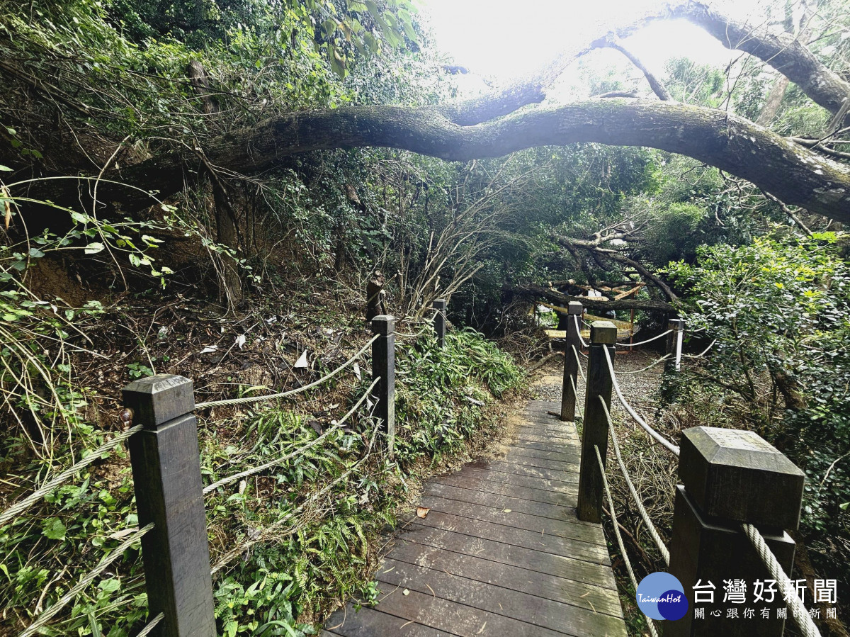 大坑10號登山步道0K+450土石崩落、樹木傾倒