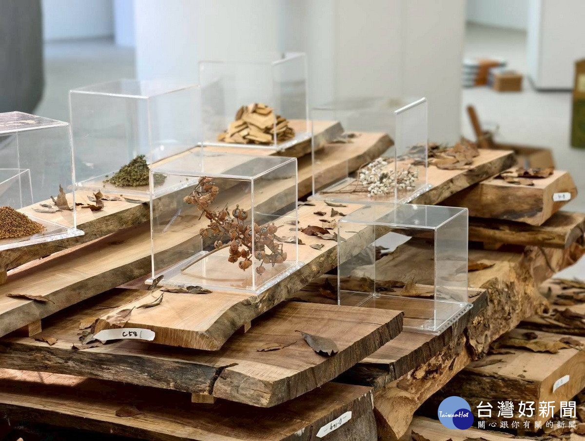 運用國產材桃花心木做媒材。（林業署南投分署提供）