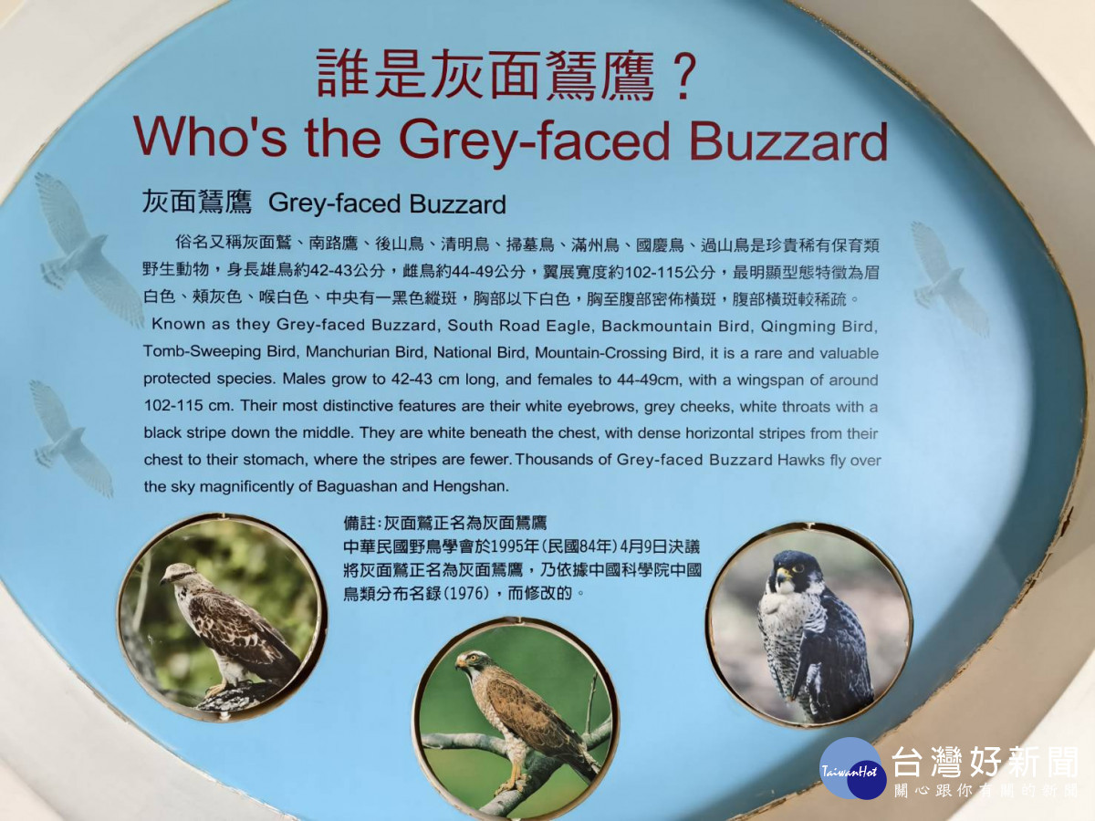 中央攜手地方，一同為年度賞鷹盛事揭開序幕。圖／記者鄧富珍攝