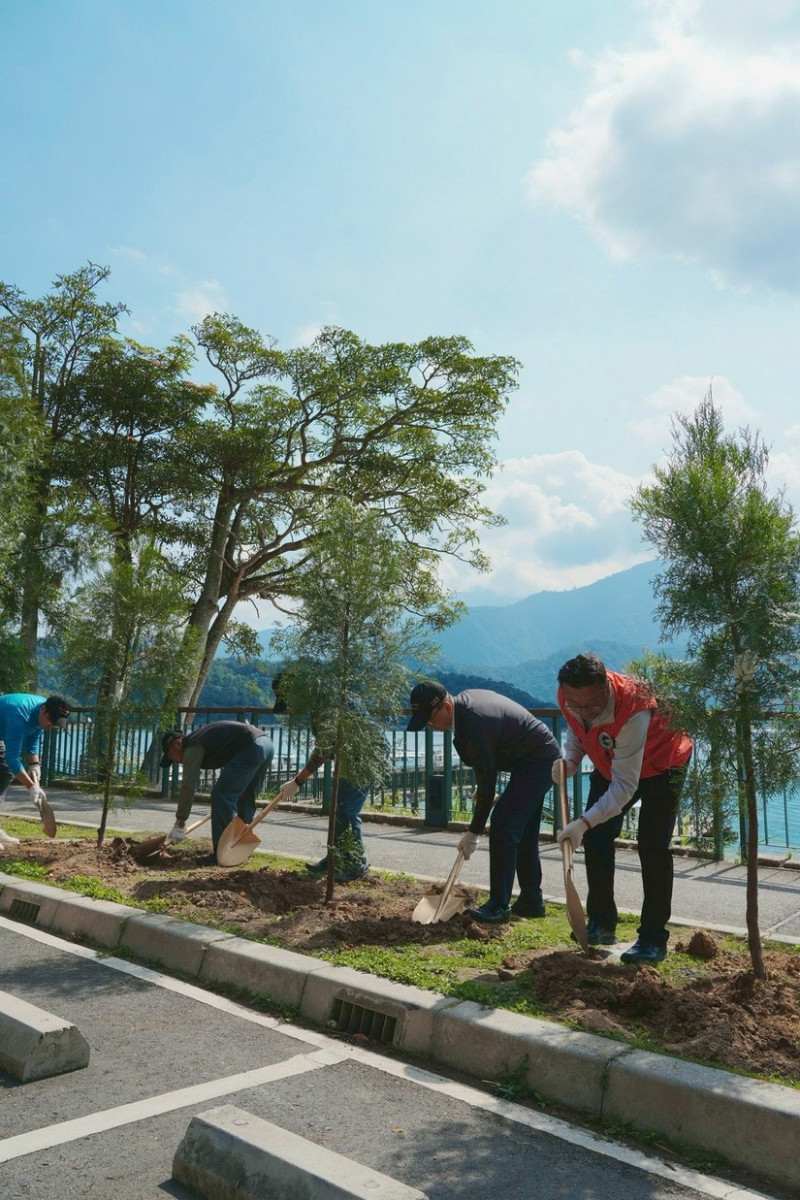 種植台灣肖楠木。（日管處提供）