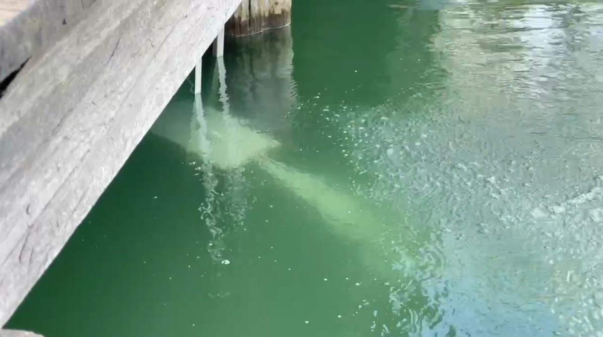 （圖／宜蘭縣府工商旅遊處）