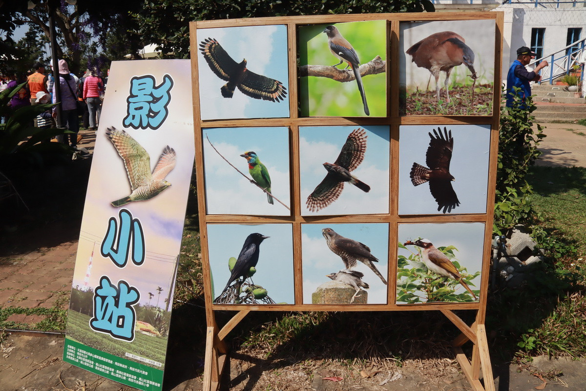 永興社區周邊生態豐富，鳥類眾多。（記者扶小萍攝）