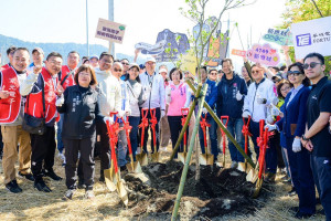 適當的林業經營與更新，可讓森林持續維持良好的固碳能力。