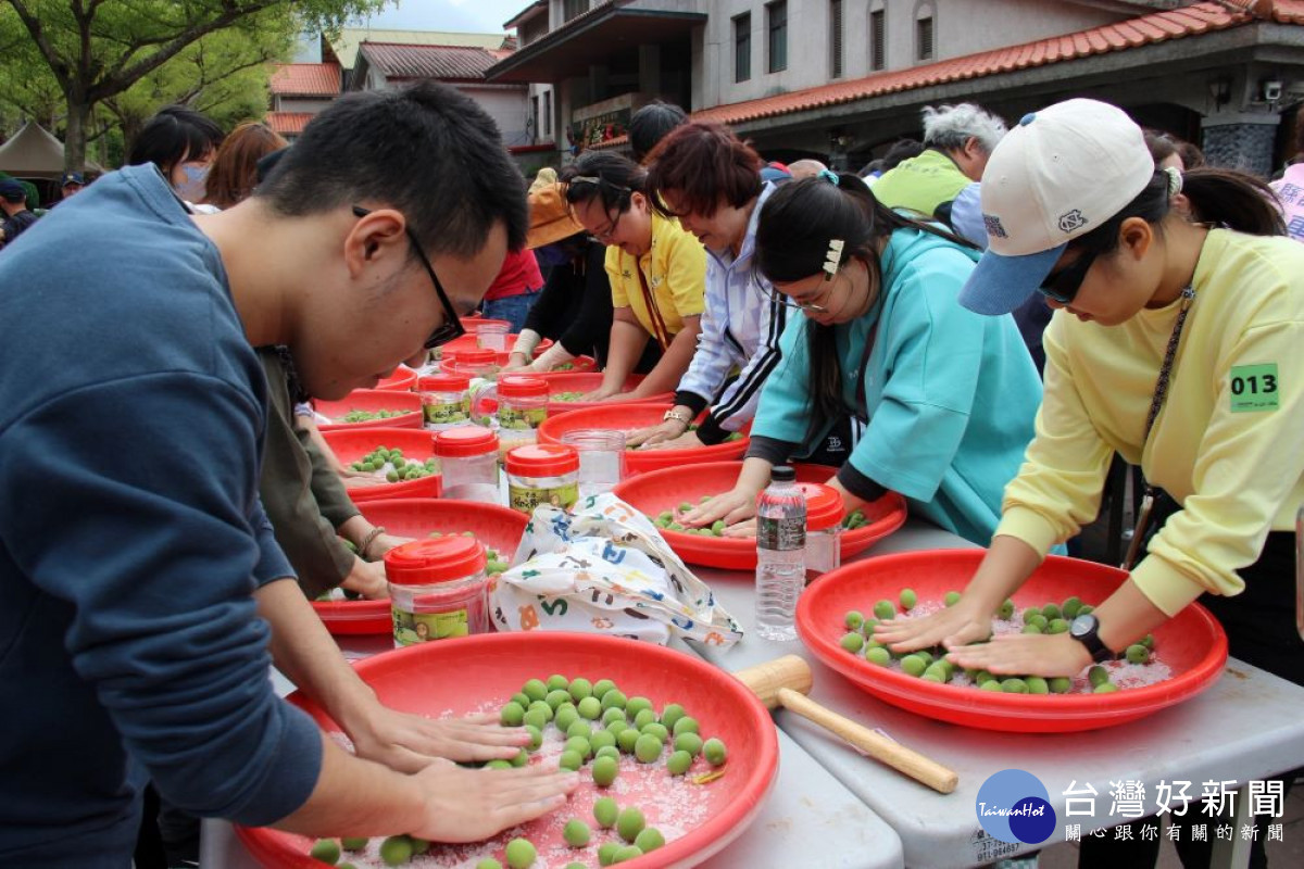 「2026南投梅子節-春分一簍梅」開鑼日活動，手作青梅DIY即日起電話預約報名 (049-2791949)，可享多重送，還送梅子夢工廠門市貴賓卡乙張。(圖/信義鄉農會梅子夢工廠)