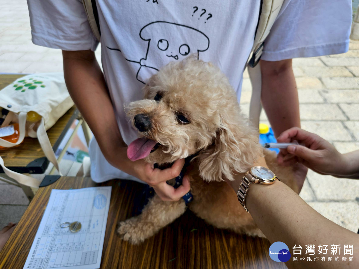 守護人寵健康　竹市巨城廣場3/21免費施打狂犬病疫苗