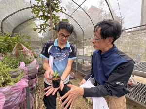 現場派發受脅植物苗木 串聯在地保種夥伴(新竹分署提供)