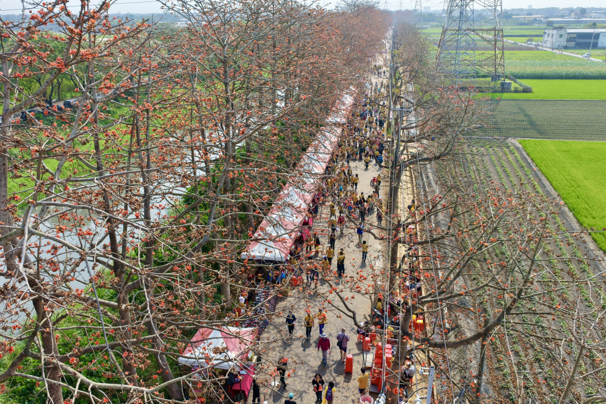 從秘境變身人氣景點,彰化木棉花季再掀賞花熱潮。圖/彰化縣政府提供