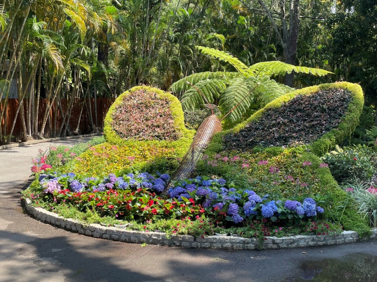 士林官邸玫瑰園兩百種名花盛開迎賓　台日育種工藝交織六十載浪漫歷史地景