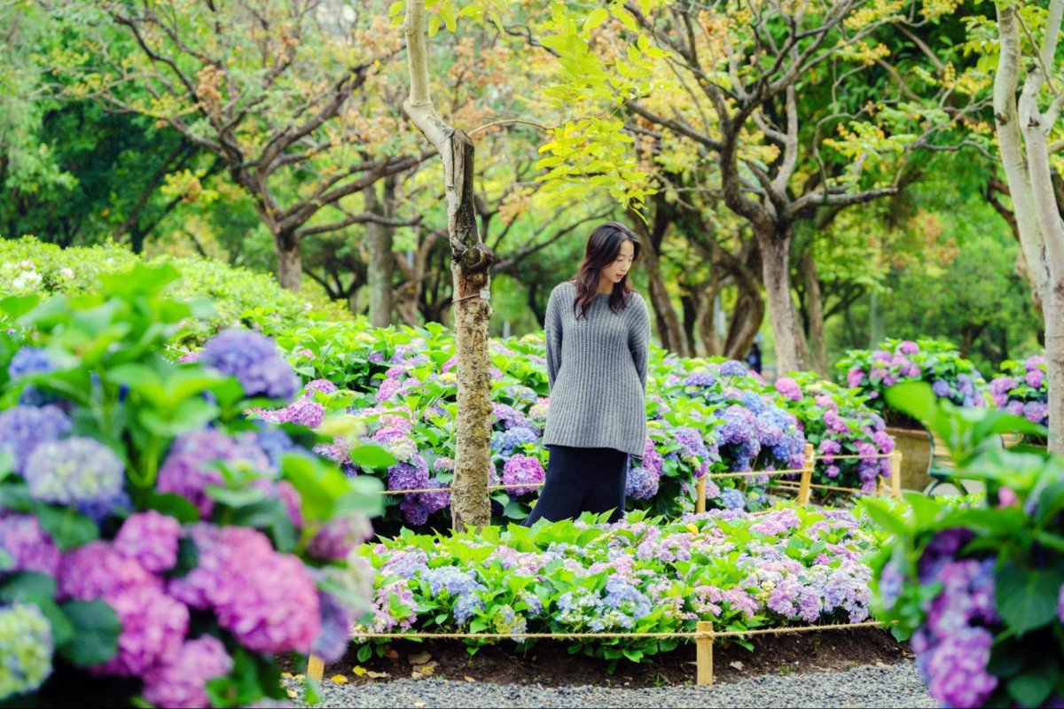 台北杜鵑花季秘寶懸賞徵件進入最後倒數　快來大安森林公園捕捉動植物抽 AirPods