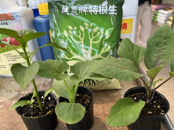 太平興農供應中心4/4邀專家講解作物健康管理　歡迎有興趣者參加