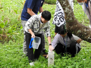 回收調查陷阱。（林業及自然保育署南投分署提供）