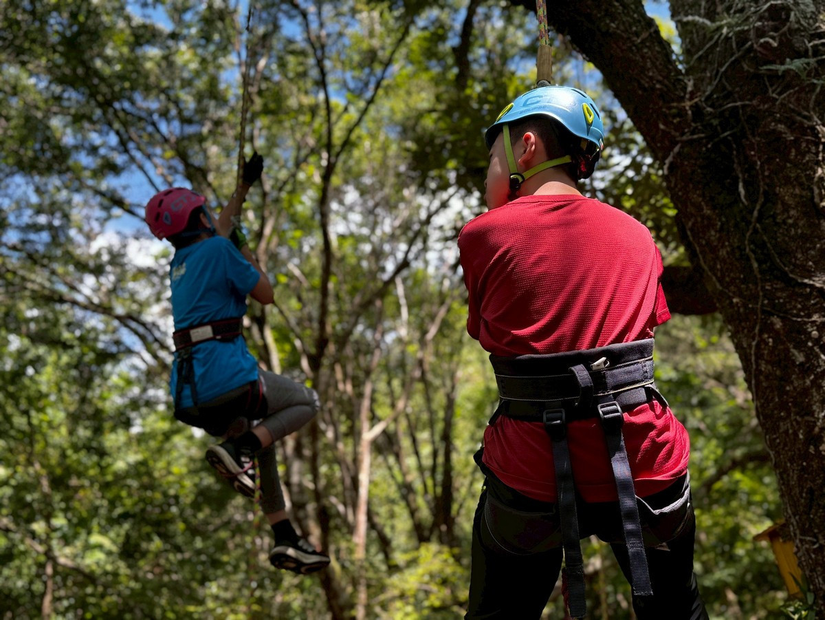 從不同的角度欣賞森林。(林業及自然保育署南投分署提供)