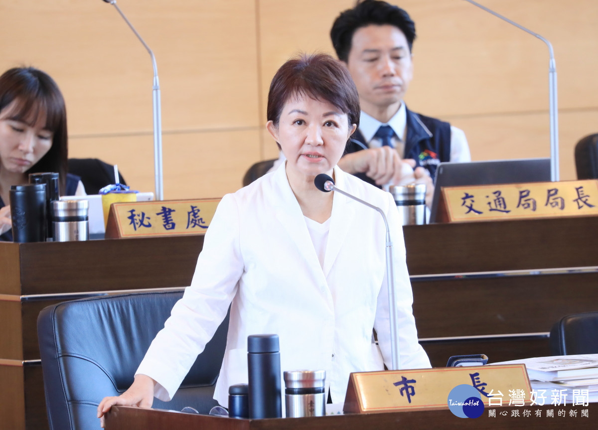 台灣能源政策面臨缺電挑戰　盧秀燕籲中央即時修正、正視民生與健康