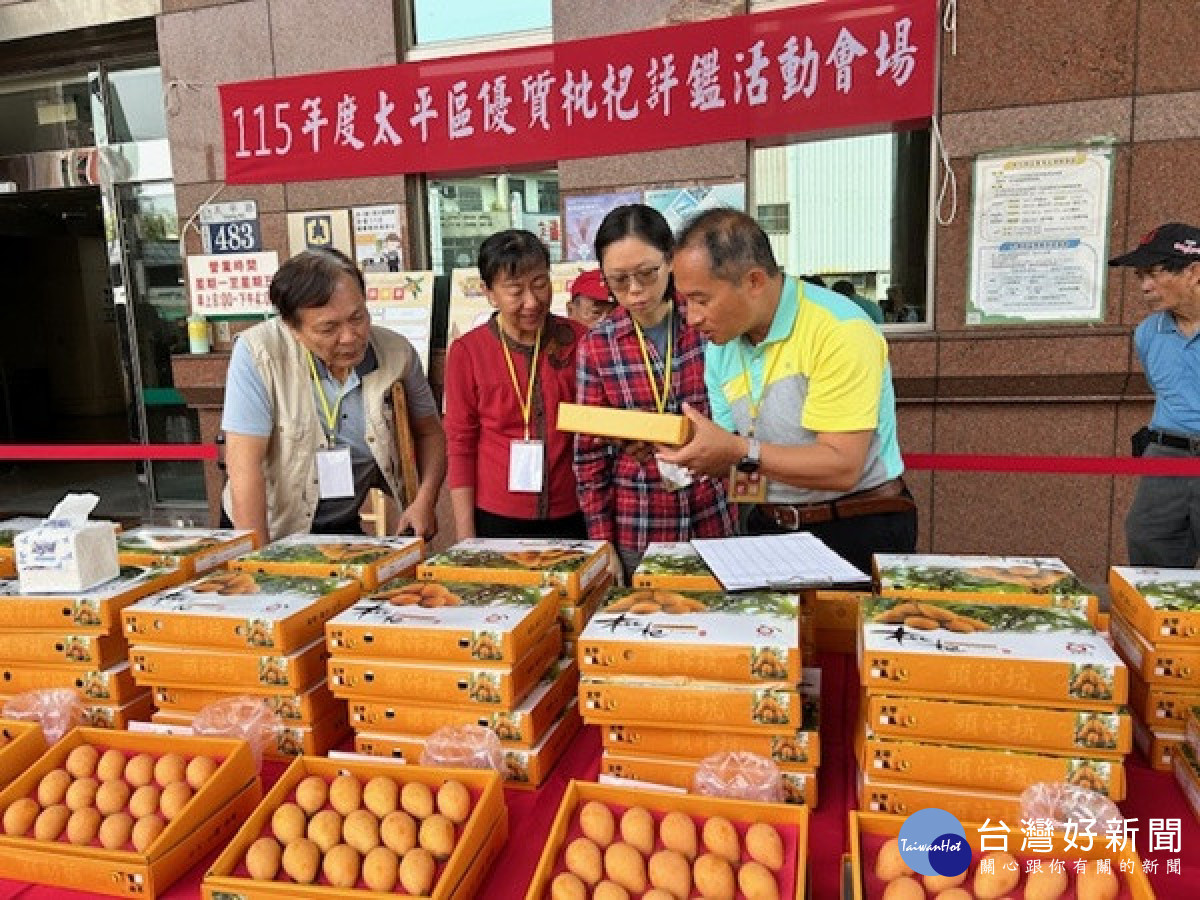 2026太平枇杷評鑑爭霸　李昌基及柯辰宏2人奪冠