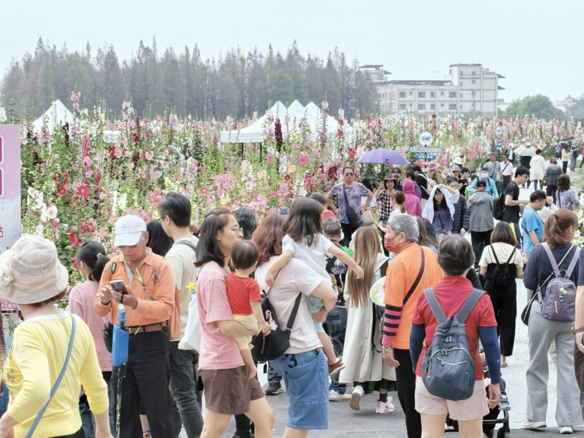 員林蜀葵花季繽紛登場，萬株花海打造春日最美打卡勝地。圖／彰化縣政府提供