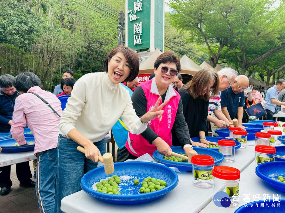 2026南投梅子節開幕　許淑華與民眾一起作脆梅