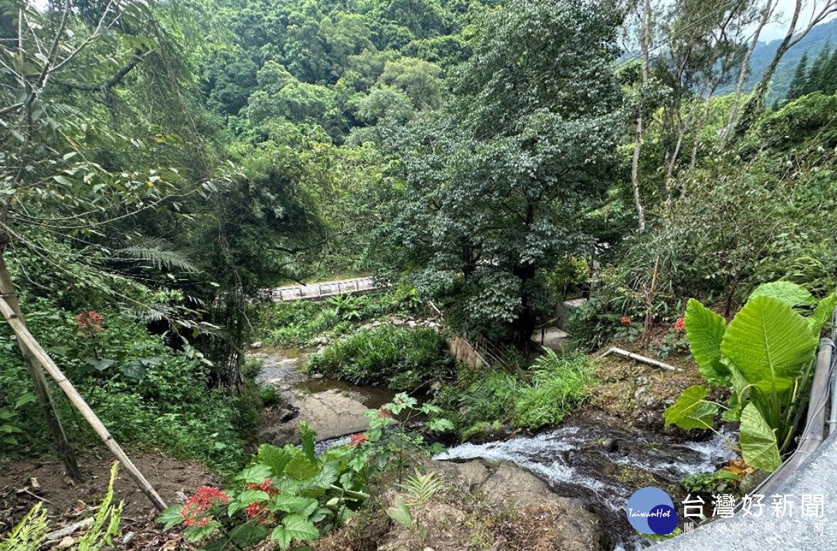 新竹分署14處「保育共生地」橫跨桃竹苗　共同打造台灣西北部生態避風港