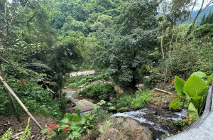 中央大貝山礦泉水公司新竹橫山廠區旁的水源地是提供穿山甲及彩虹叩頭蟲生存的重要棲地(新竹分署提供)