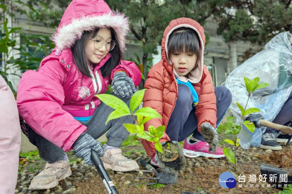 孩子們分工合作，我負責取出樹苗、你來負責為樹苗建造小窩