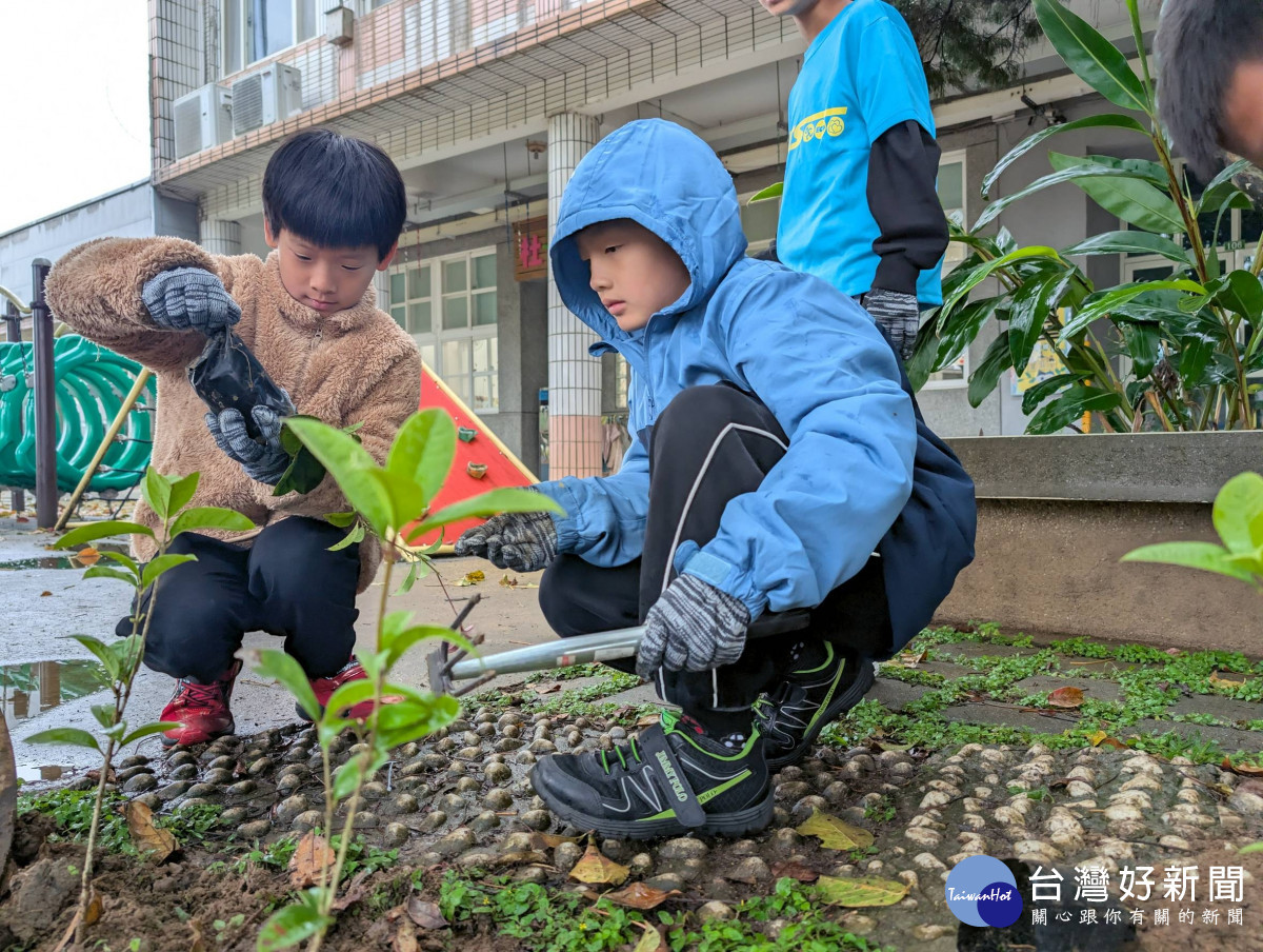一起期待我們種下的小樹健康茂盛