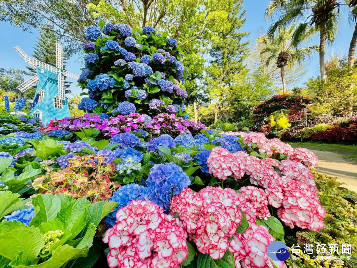 中台灣好玩卡一站式服務　暢遊苗栗山城亮點、深度體驗多元旅遊