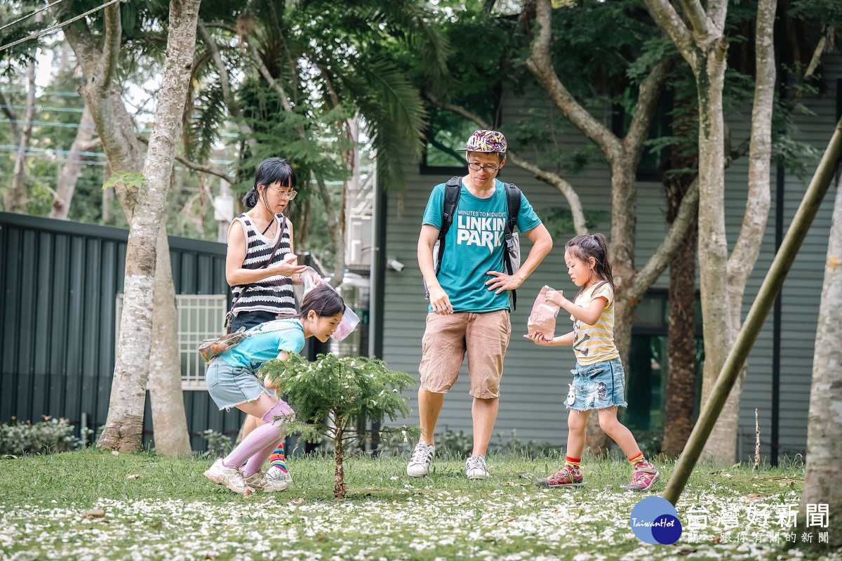 桃園桐花祭-桐花童話。