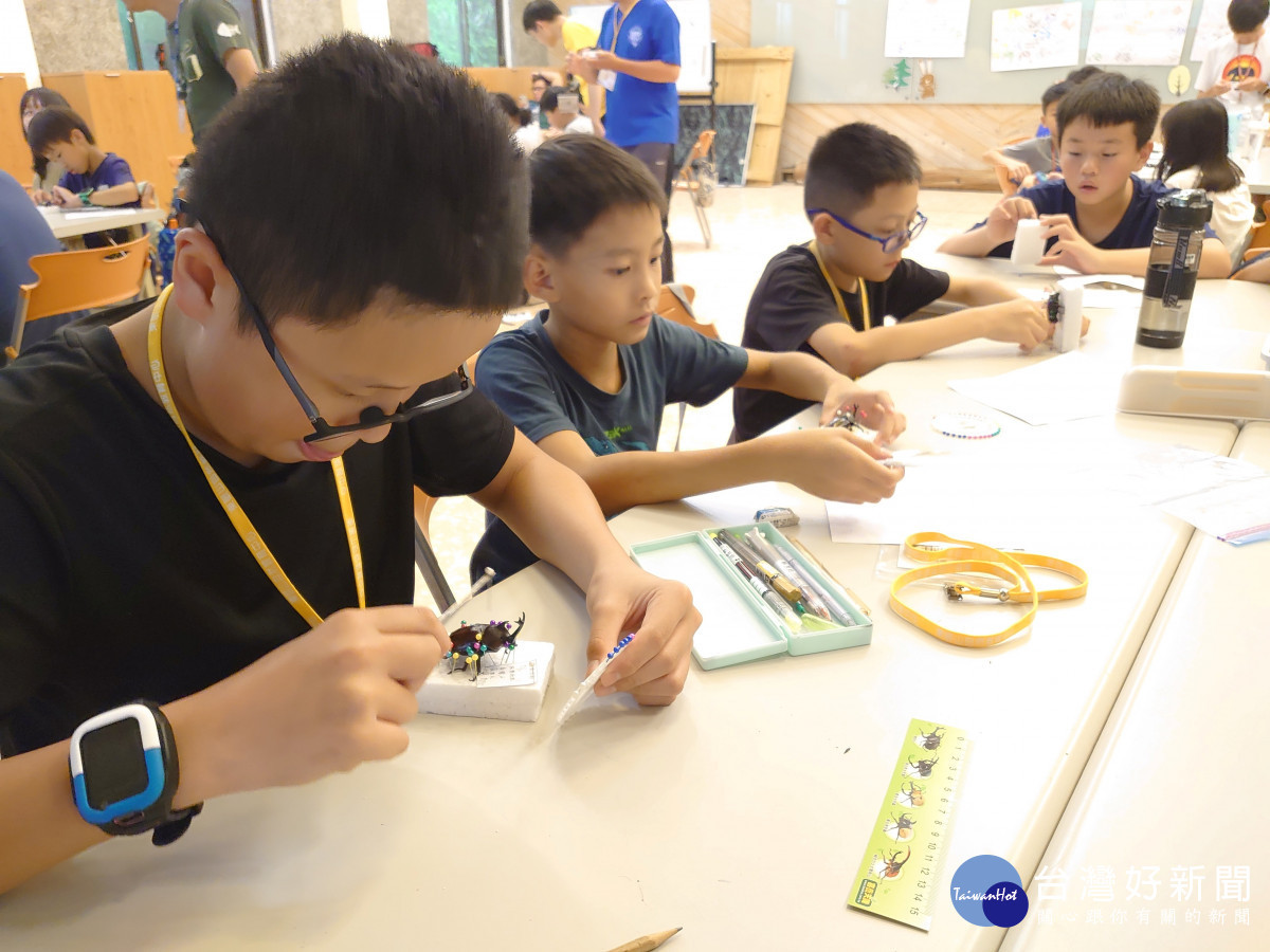 展開充滿學習與驚奇的夏日冒險　東眼山暑期營隊熱烈招生中