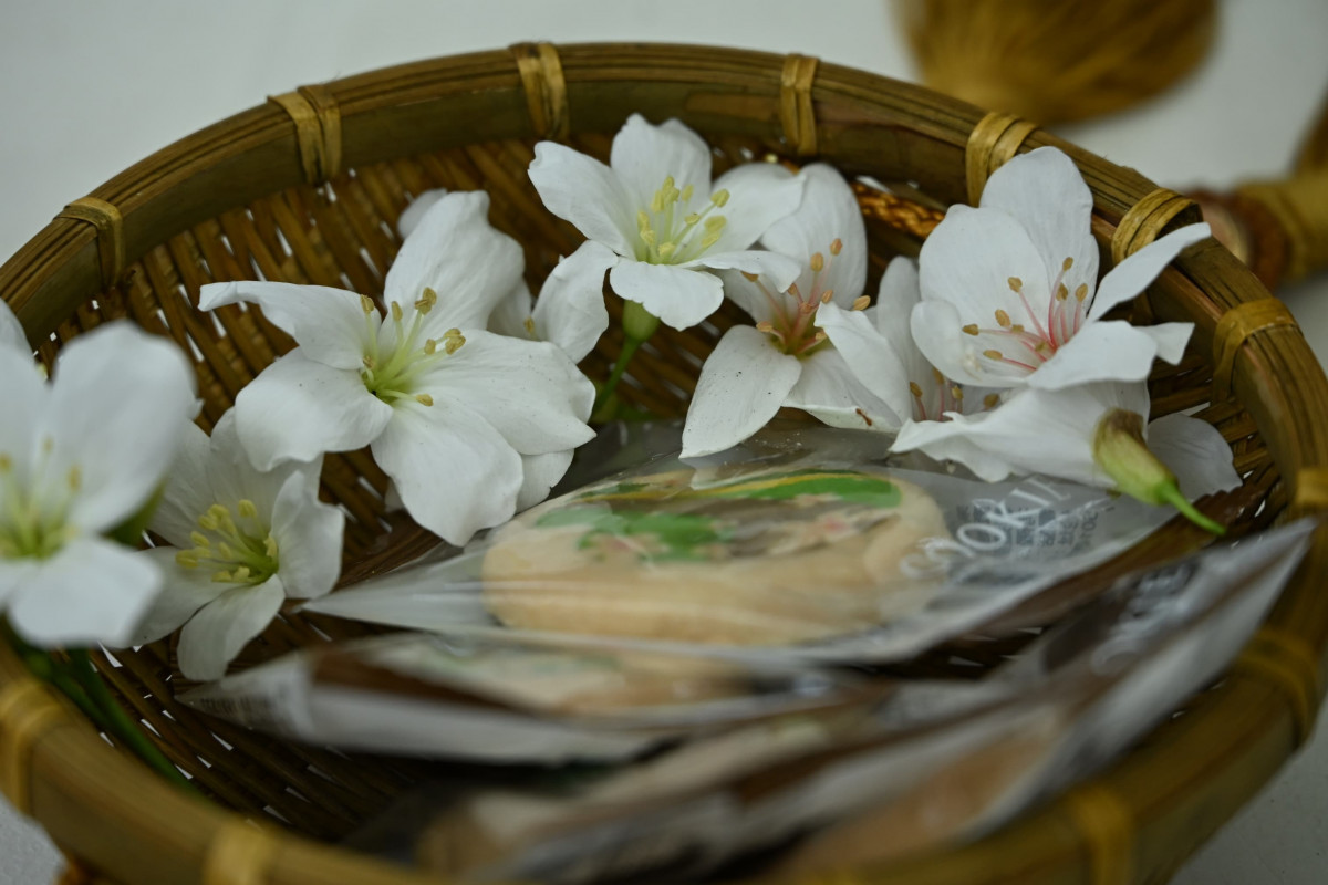 彰化桐花祭4/18登場　八卦山5大賞桐秘境、15場活動接力迎客