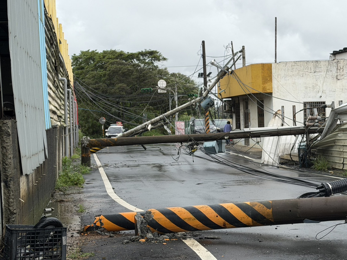 大型車輛勾扯電線導致整排電線桿倒塌。