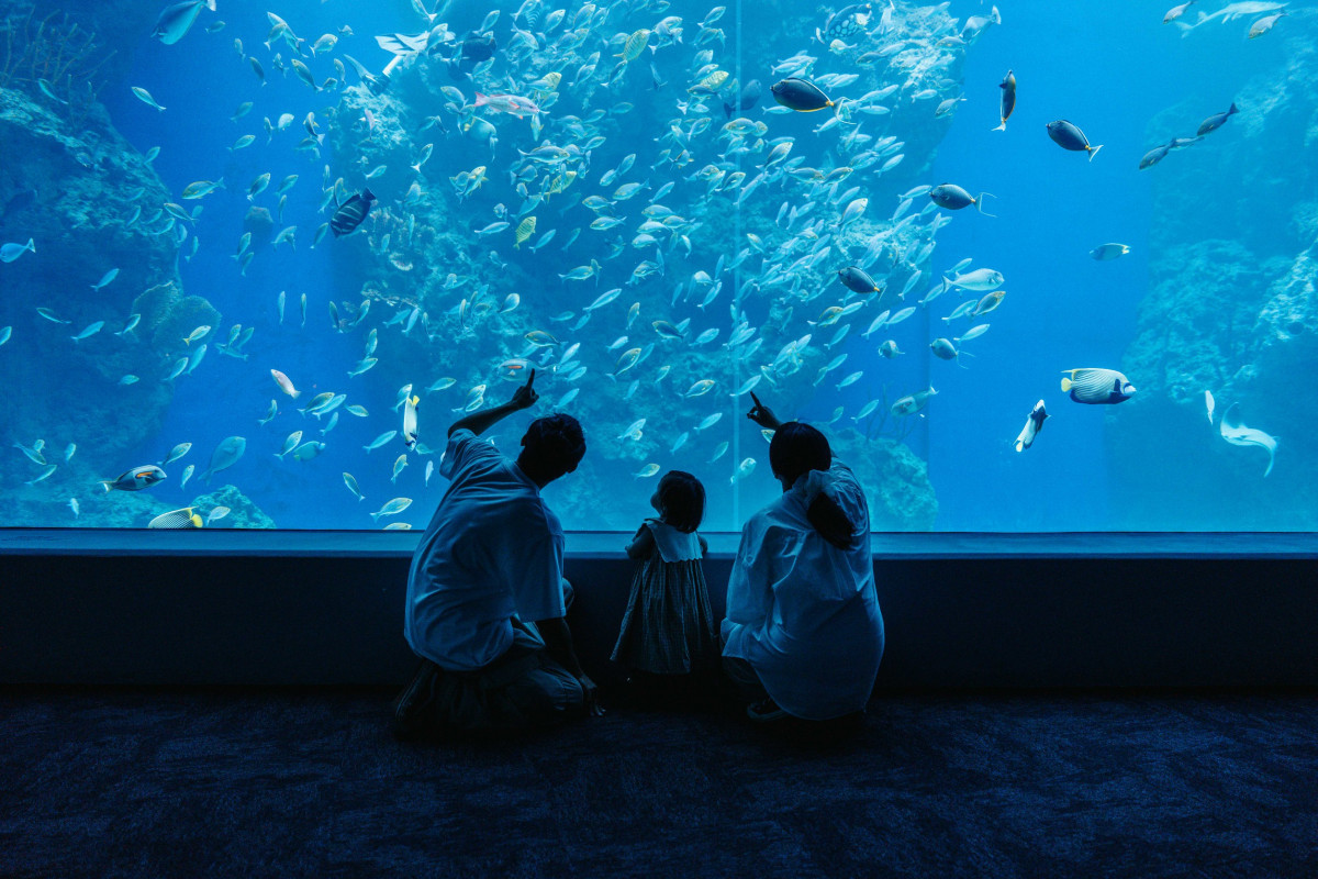 台中海洋館募集圖書 免費體驗海洋世界