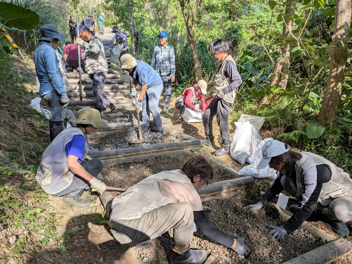 公私協力共築「韌性都市林」　手作步道與原生植栽展現山林維護成效