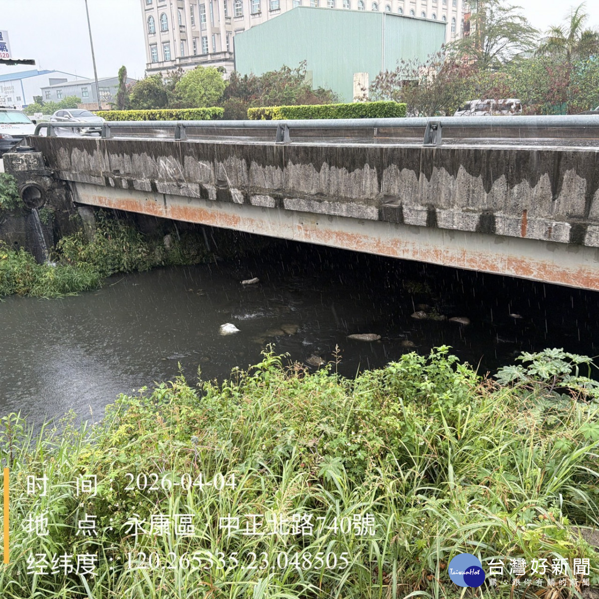 臺南永康排水渠道大量魚隻死亡　水利局迅速打撈維護環境