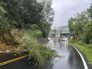 龜山區大坑路三段往林口方向發生邊坡土石滑落、路樹倒塌。