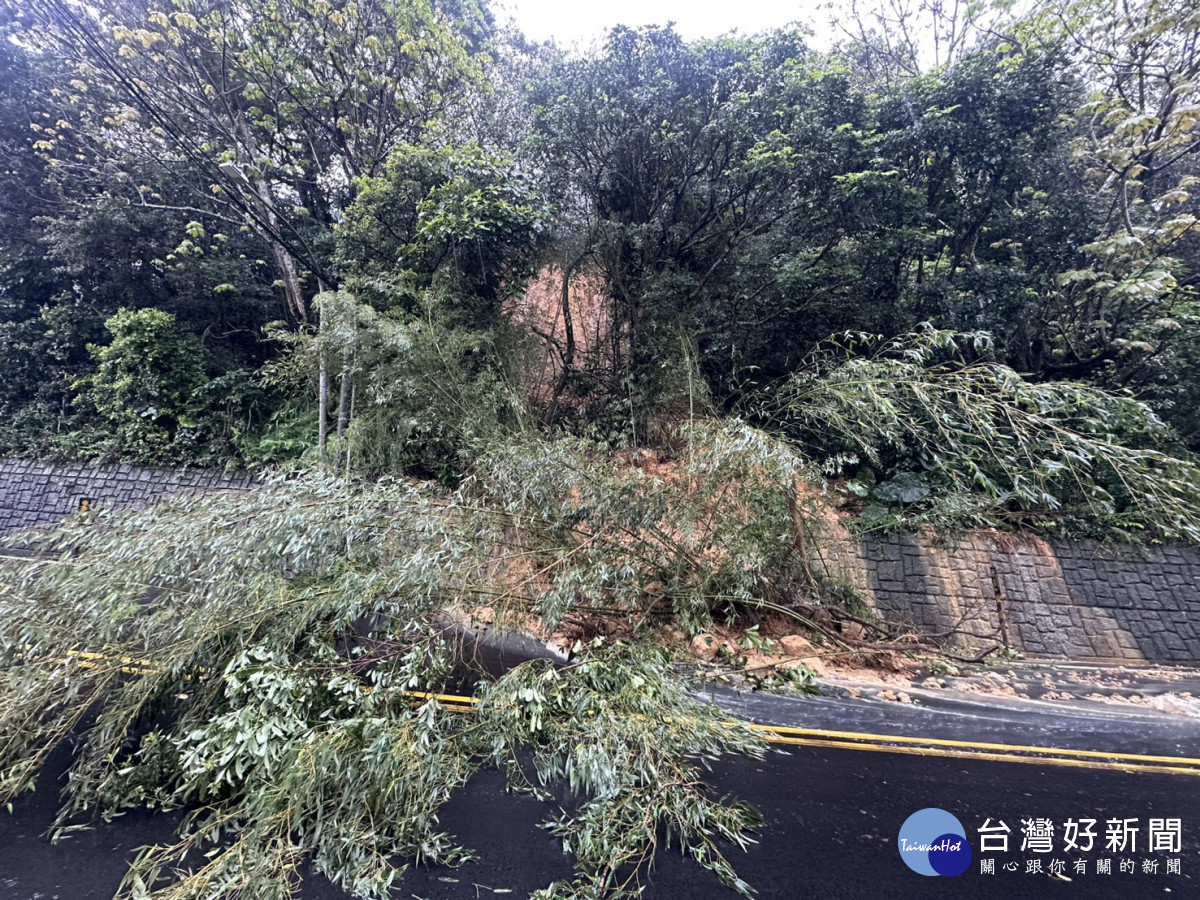龜山區大坑路三段往林口方向發生邊坡土石滑落、路樹倒塌。