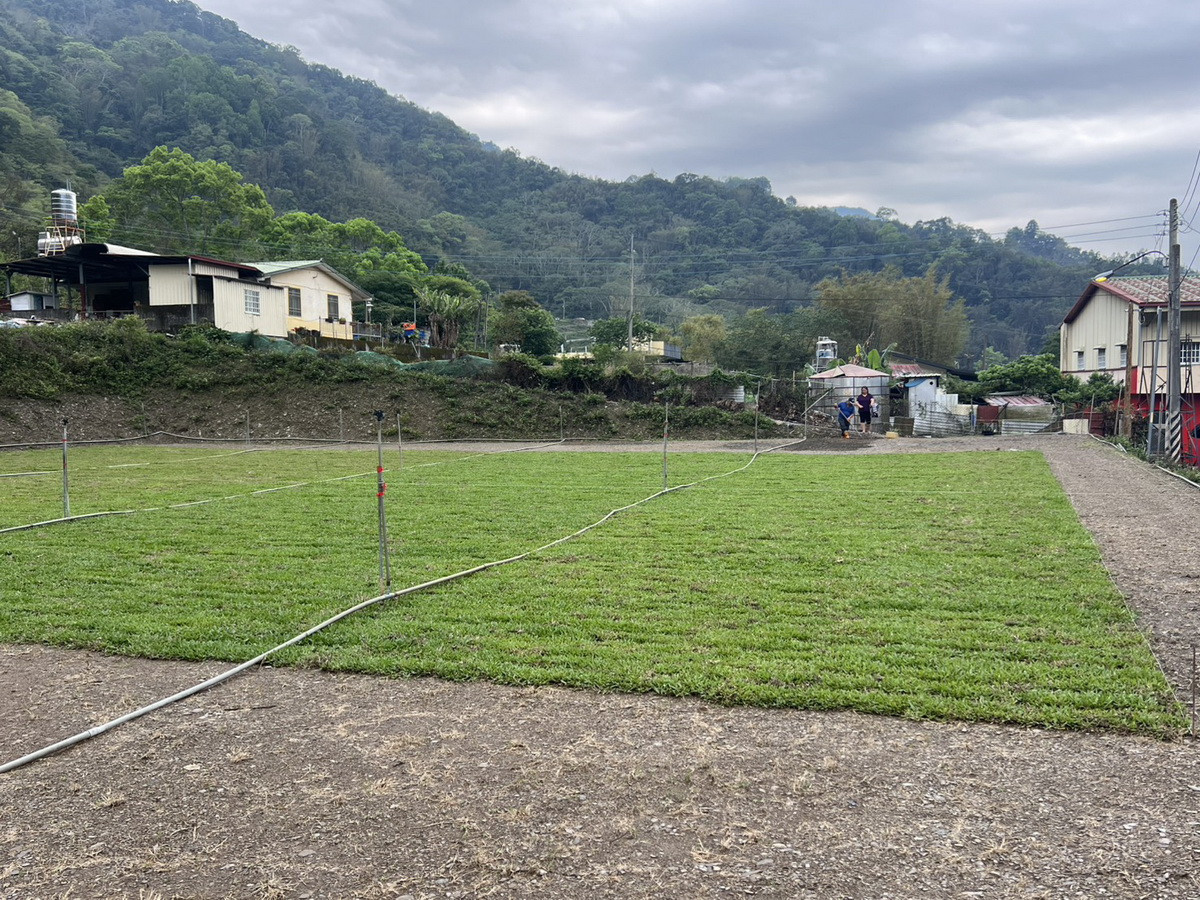 曲冰部落居民自立自強整理小型足球場還舖上大葉草。（趙榮瑞總監提供）