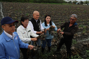 雲林縣府邀集四湖鄉公所、農糧署中區分署及台南區農業改良場辦理現地勘災，立委張嘉郡、丁學忠也到場關心／翻攝照片
