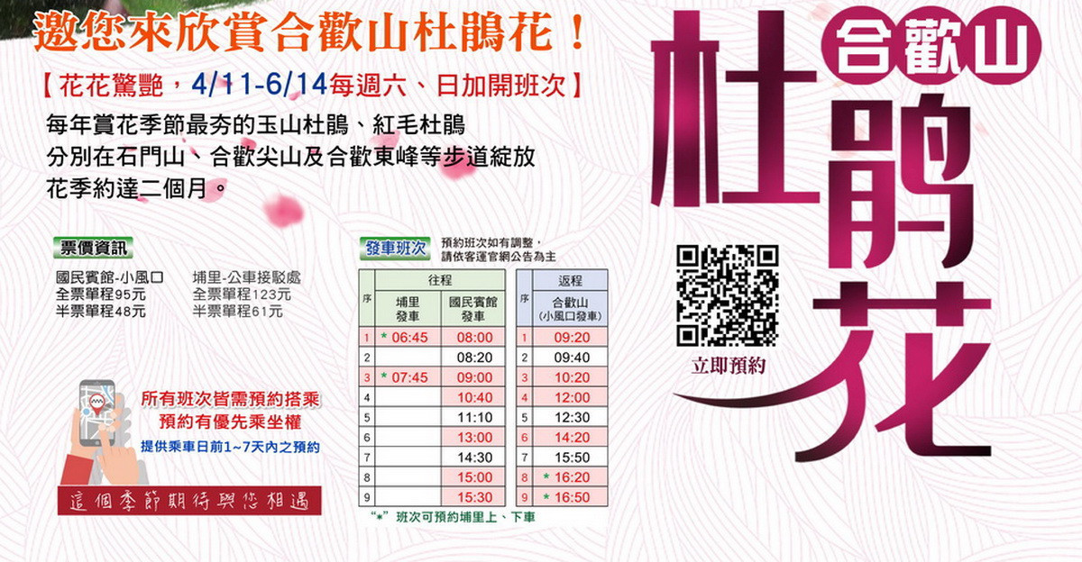 4月至6月歡迎大眾到合歡山賞花。(南投監理站提供)