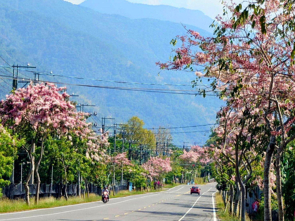 （圖／高雄市府工務局公園處）