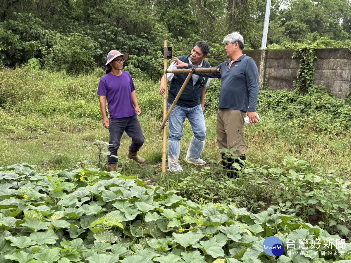 南市擴大推動草鴞生態給付　9行政區打造共榮棲地