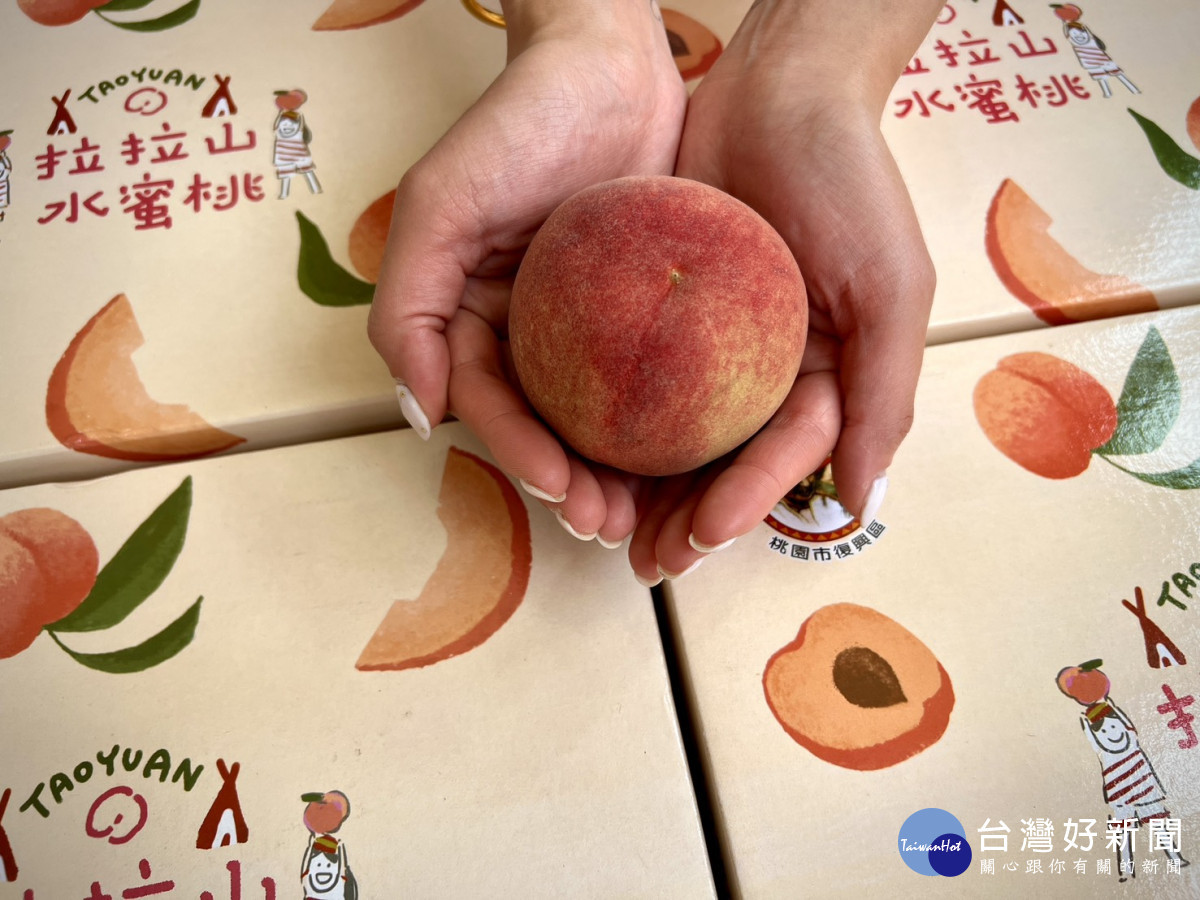 桃園拉拉山「媽媽桃」產季正式啟動，透過多元管道行銷，全力幫助農民開拓銷售成績。
