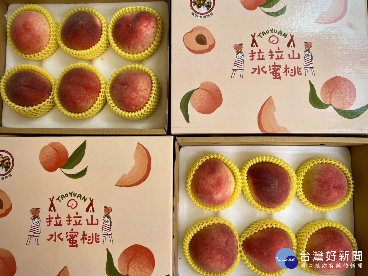 桃園拉拉山「媽媽桃」　4/13起預購開跑