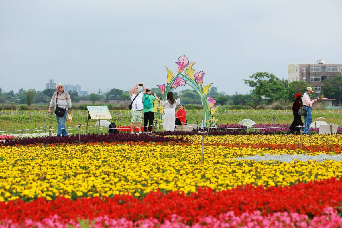 桃園市政府農業局主辦的「2026桃園彩色海芋季」圓滿落幕。