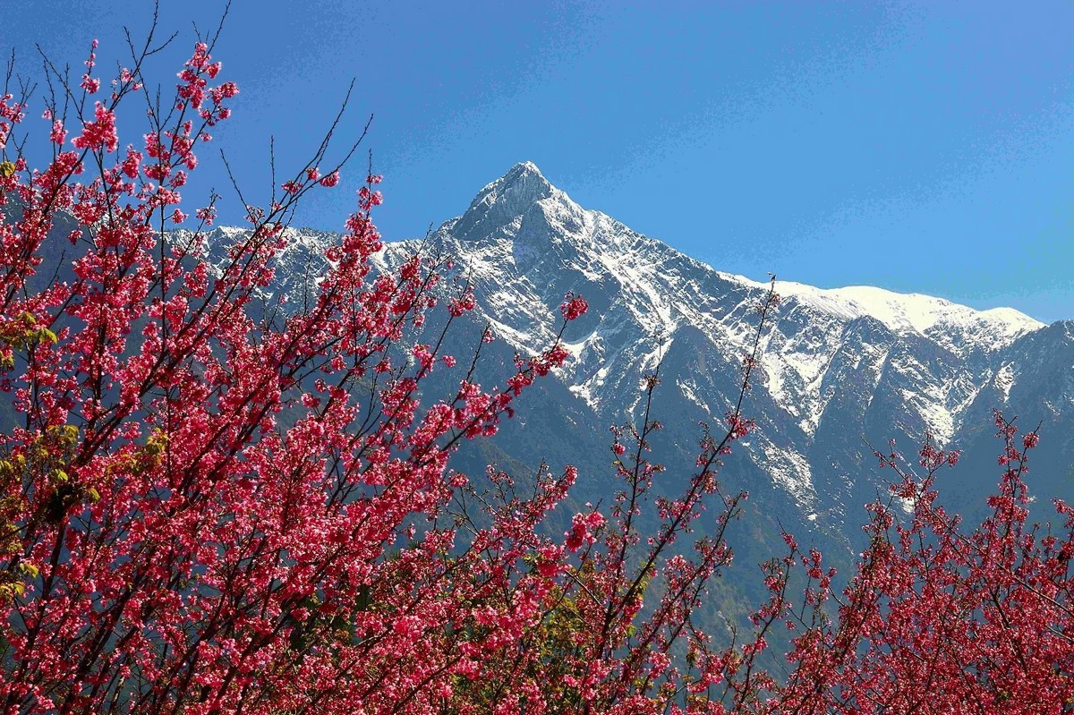 臺21線觀山停車場眺望玉山主峰。(玉管處提供)