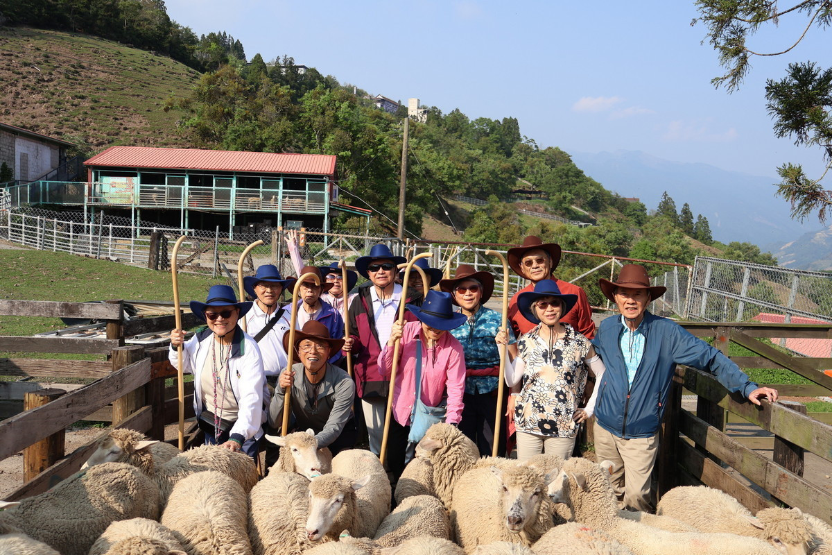 「半日牧羊人」活動,結合自然景觀、生態教育與互動體驗。(清境農場提供)