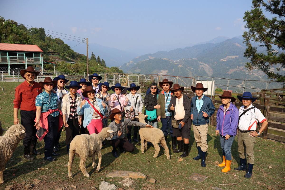 「半日牧羊人」體驗活動,在自然環境中重溫青春記憶。(清境農場提供)<br />
<br />