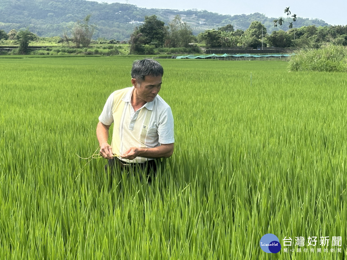 農民每日辛勤工作卻意外被停發老農津貼一年。（記者扶小萍攝）