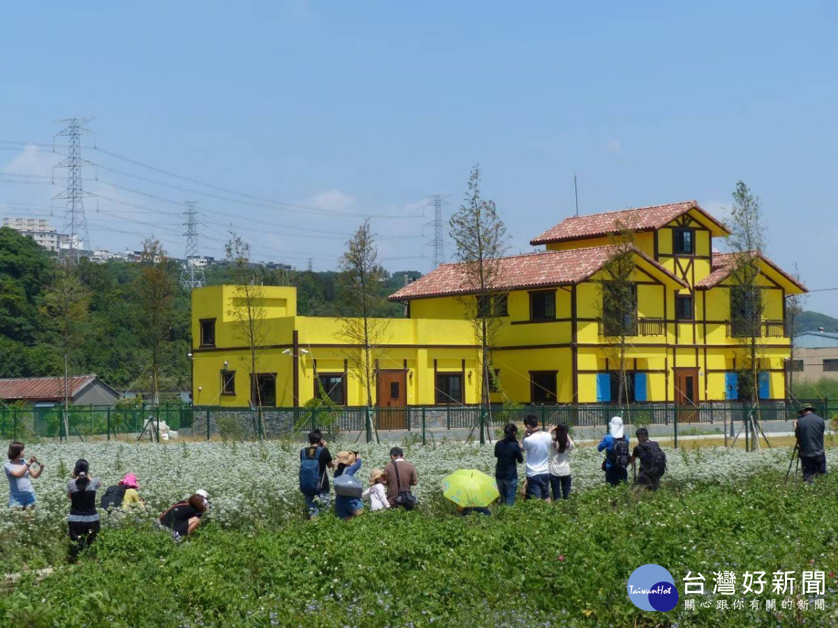 大溪中庄休閒農業區景觀，含韭菜花季花海盛開美景。